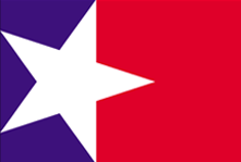 New Texas Flag
