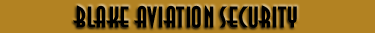 Blake Aviation Security